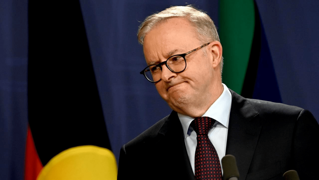 尼斯遭遇危机，困扰多多不得喘息的简单介绍