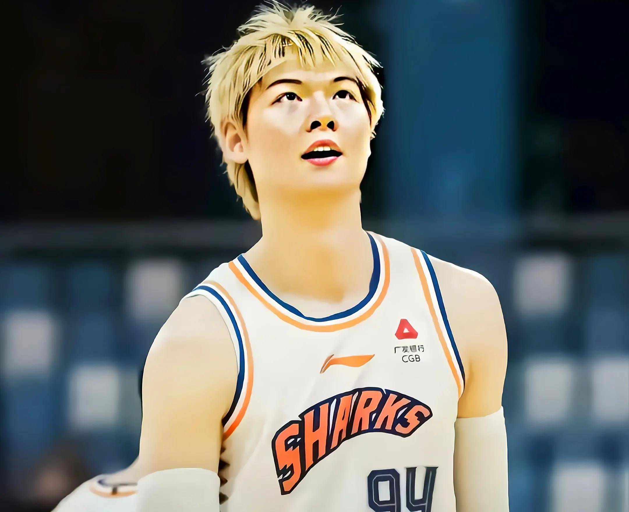 公牛碾压广州队，王哲林点燃赛场的简单介绍